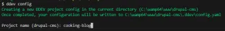 DDEV Project Name