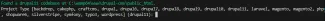DDEV Project type